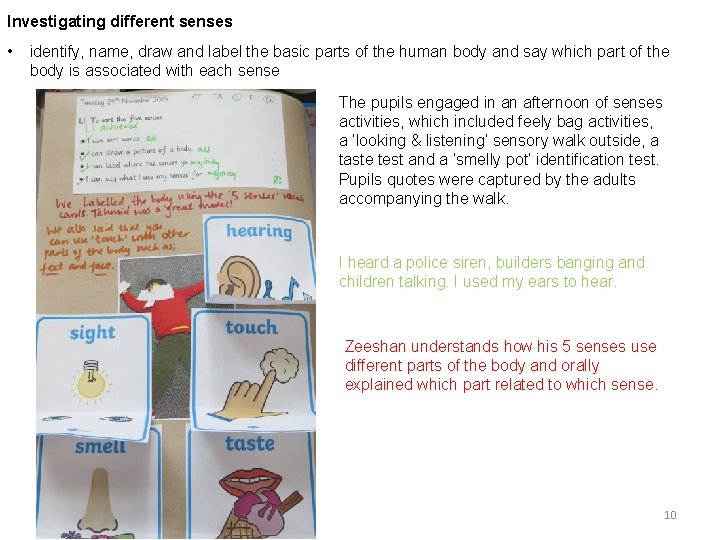 Investigating different senses • identify, name, draw and label the basic parts of the