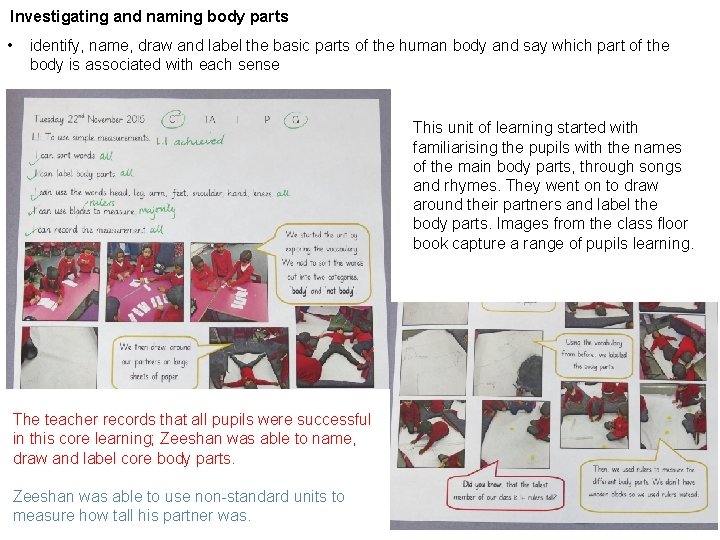 Investigating and naming body parts • identify, name, draw and label the basic parts