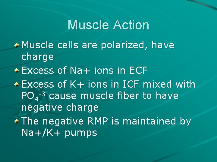 Muscle Action Muscle cells are polarized, have charge Excess of Na+ ions in ECF Muscle Action Muscle cells are polarized, have charge Excess of Na+ ions in ECF