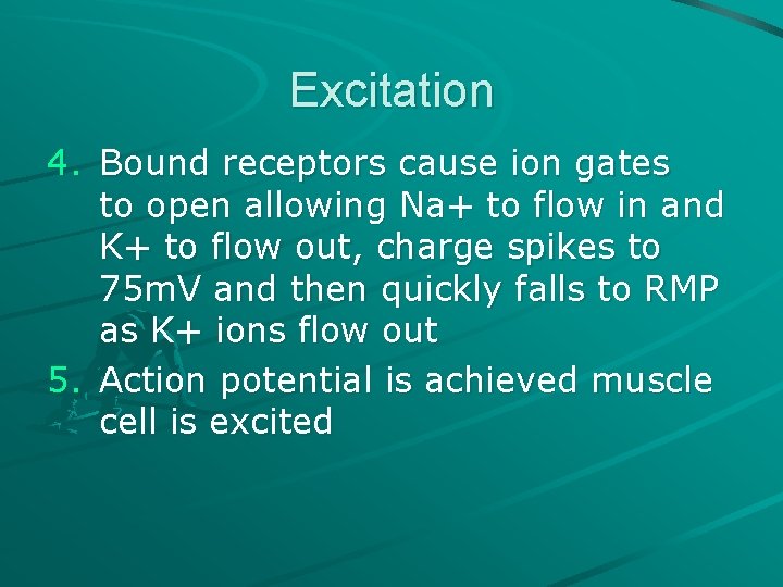 Excitation 4. Bound receptors cause ion gates to open allowing Na+ to flow in Excitation 4. Bound receptors cause ion gates to open allowing Na+ to flow in