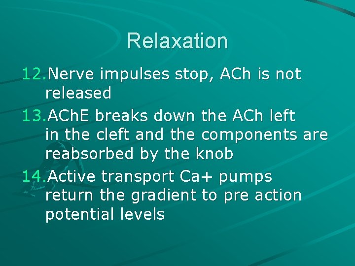 Relaxation 12. Nerve impulses stop, ACh is not released 13. ACh. E breaks down Relaxation 12. Nerve impulses stop, ACh is not released 13. ACh. E breaks down