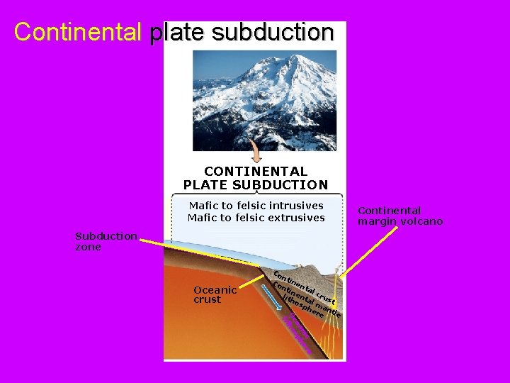 Continental plate subduction CONTINENTAL PLATE SUBDUCTION Mafic to felsic intrusives Mafic to felsic extrusives