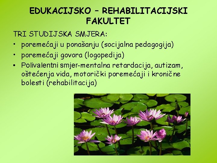 EDUKACIJSKO – REHABILITACIJSKI FAKULTET TRI STUDIJSKA SMJERA: • poremećaji u ponašanju (socijalna pedagogija) • EDUKACIJSKO – REHABILITACIJSKI FAKULTET TRI STUDIJSKA SMJERA: • poremećaji u ponašanju (socijalna pedagogija) •