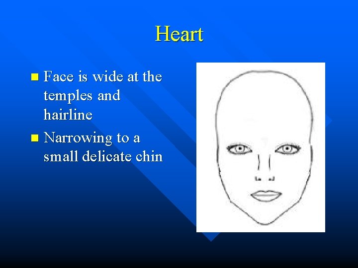 Heart Face is wide at the temples and hairline n Narrowing to a small