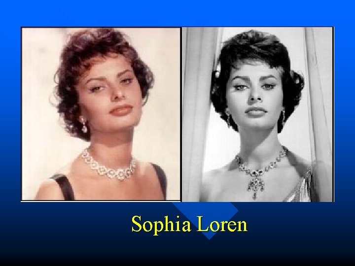 Sophia Loren 