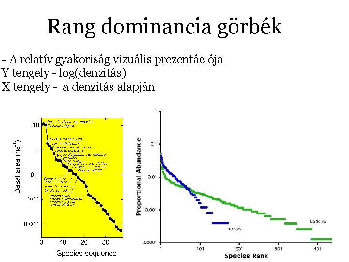 Rang dominancia görbék - A relatív gyakoriság vizuális prezentációja Y tengely - log(denzitás) X