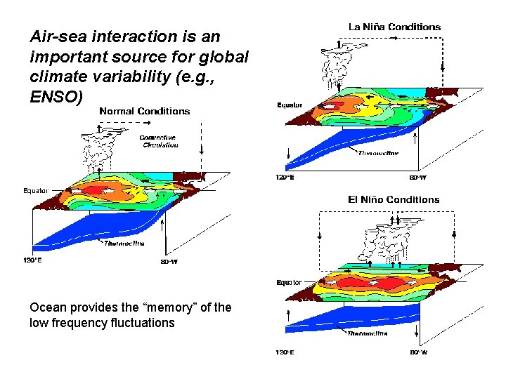 Air-sea interaction is an important source for global climate variability (e. g. , ENSO)