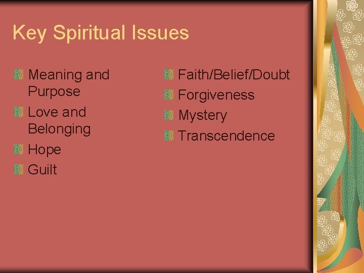 Key Spiritual Issues Meaning and Purpose Love and Belonging Hope Guilt Faith/Belief/Doubt Forgiveness Mystery