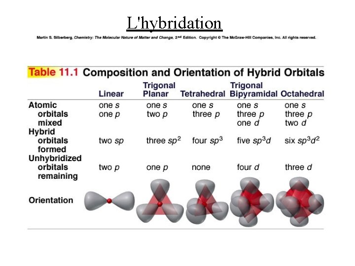 L'hybridation 