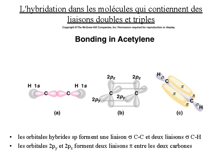 L'hybridation dans les molécules qui contiennent des liaisons doubles et triples • les orbitales