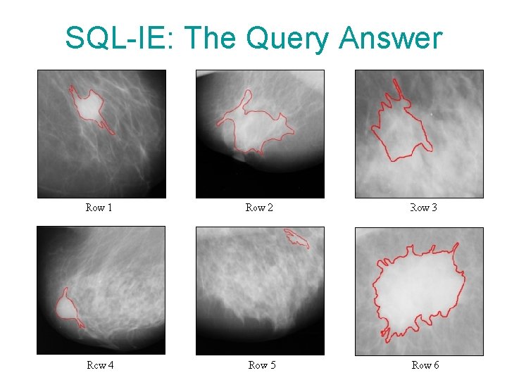 SQL-IE: The Query Answer 