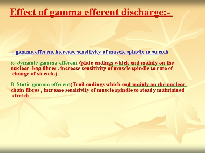 Effect of gamma efferent discharge: - - gamma efferent increase sensitivity of muscle spindle