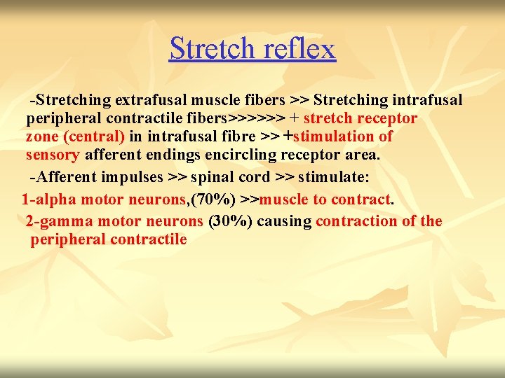 Stretch reflex -Stretching extrafusal muscle fibers >> Stretching intrafusal peripheral contractile fibers>>>>>> + stretch