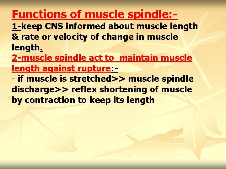 Functions of muscle spindle: - 1 -keep CNS informed about muscle length & rate