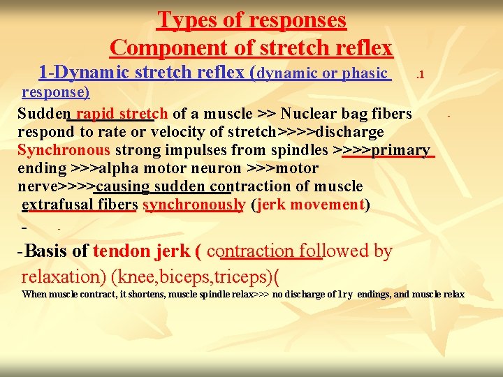 Types of responses Component of stretch reflex 1 -Dynamic stretch reflex (dynamic or phasic