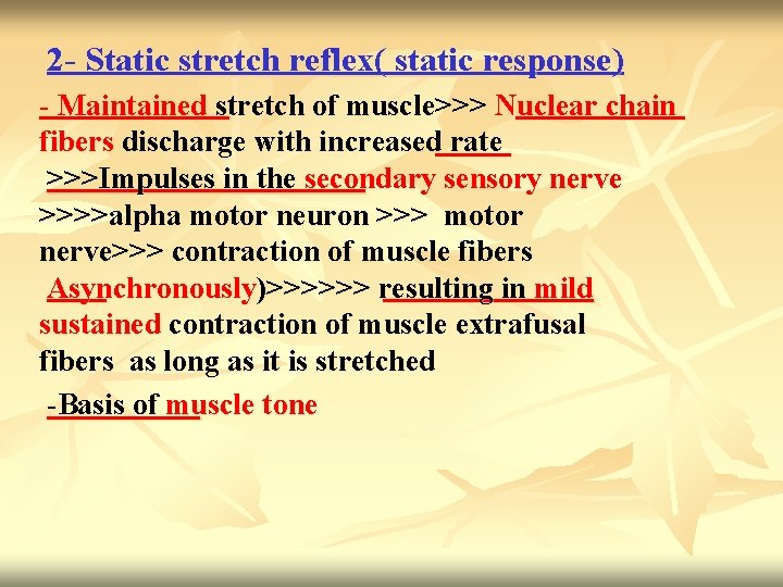 2 - Static stretch reflex( static response) - Maintained stretch of muscle>>> Nuclear chain