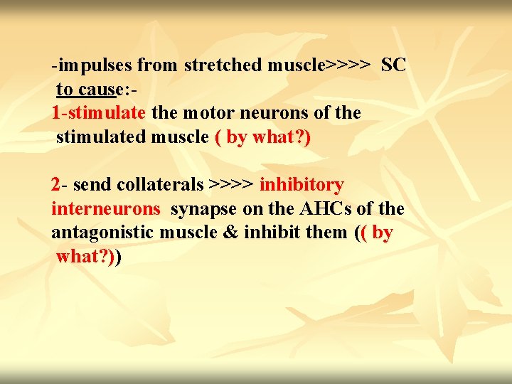 -impulses from stretched muscle>>>> SC to cause: 1 -stimulate the motor neurons of the