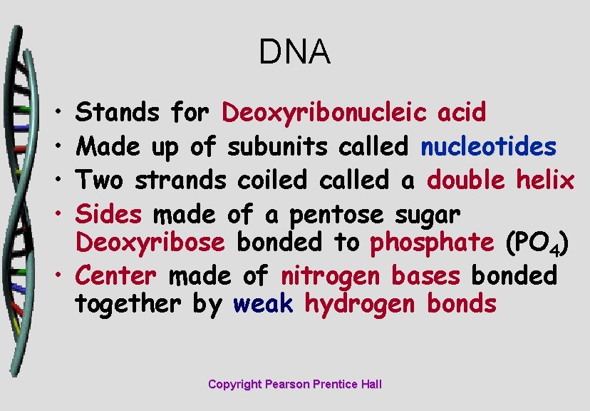 DNA • • Stands for Deoxyribonucleic acid Made up of subunits called nucleotides Two
