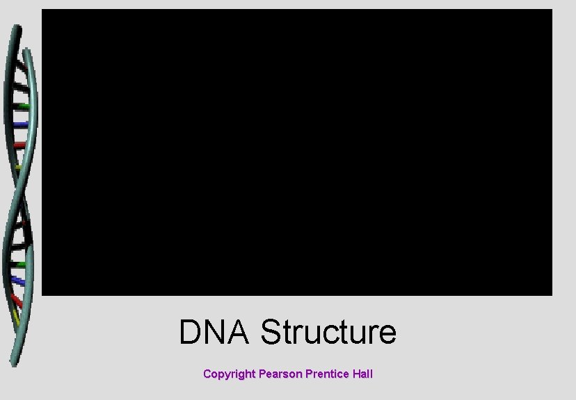 DNA Structure Copyright Pearson Prentice Hall 