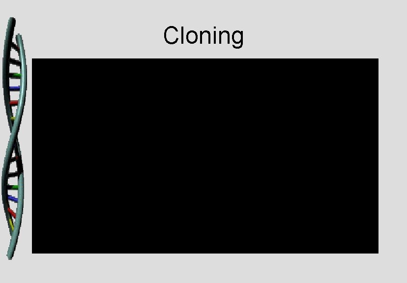 Cloning 