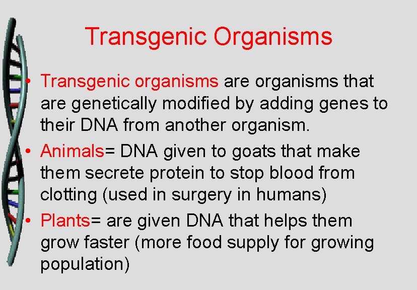 Transgenic Organisms • Transgenic organisms are organisms that are genetically modified by adding genes