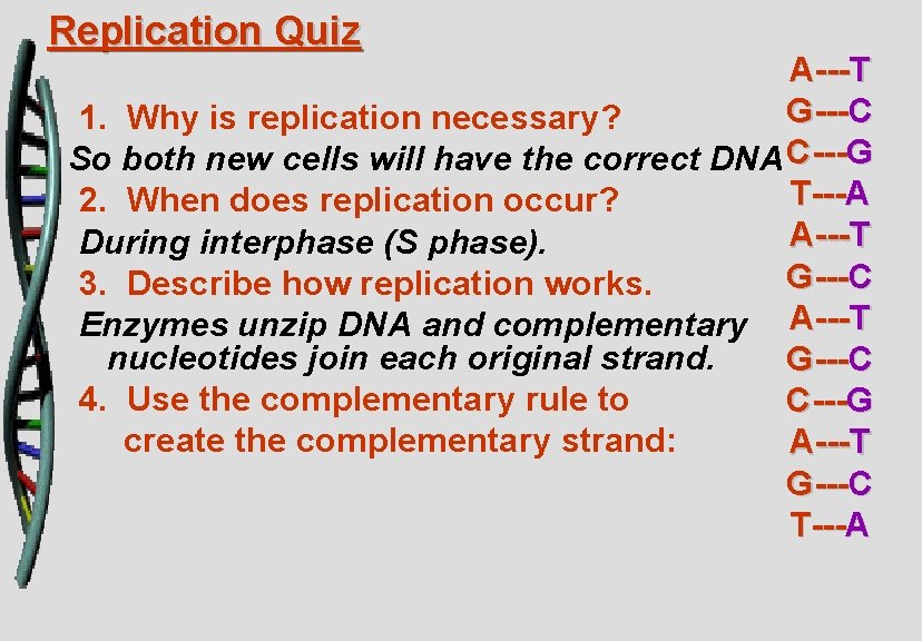 Replication Quiz A ---T G ---C 1. Why is replication necessary? So both new