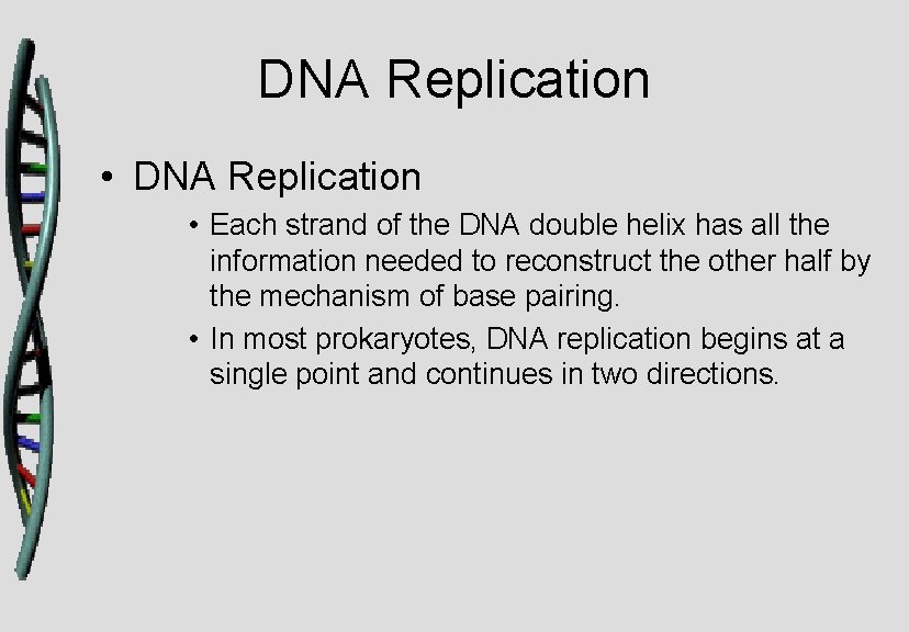 DNA Replication • Each strand of the DNA double helix has all the information
