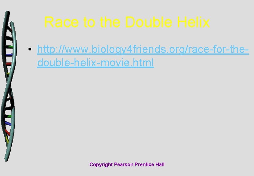 Race to the Double Helix • http: //www. biology 4 friends. org/race-for-thedouble-helix-movie. html Copyright