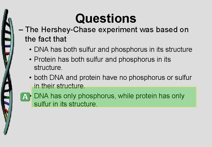 Questions – The Hershey-Chase experiment was based on the fact that • DNA has