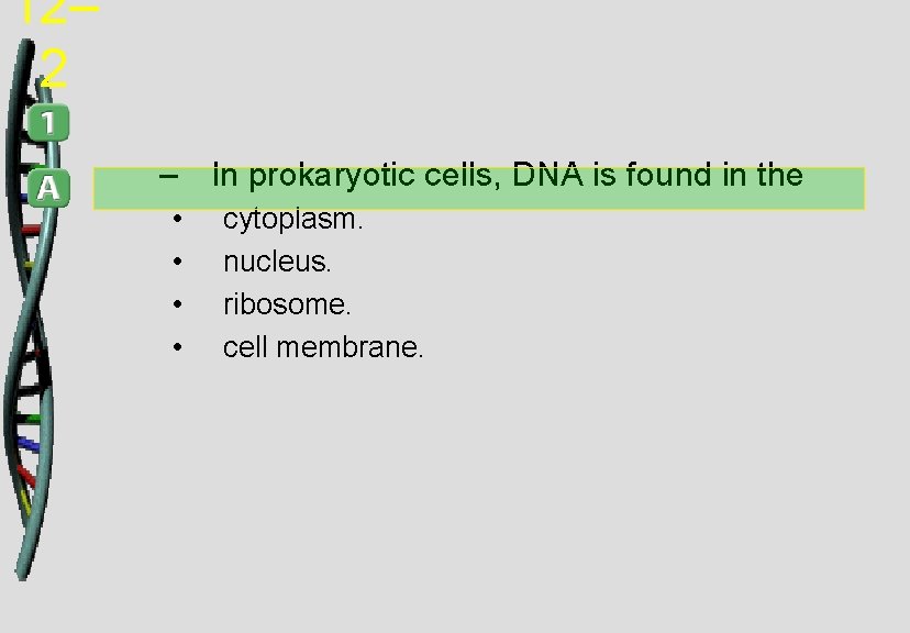 12– 2 – In prokaryotic cells, DNA is found in the • • cytoplasm.