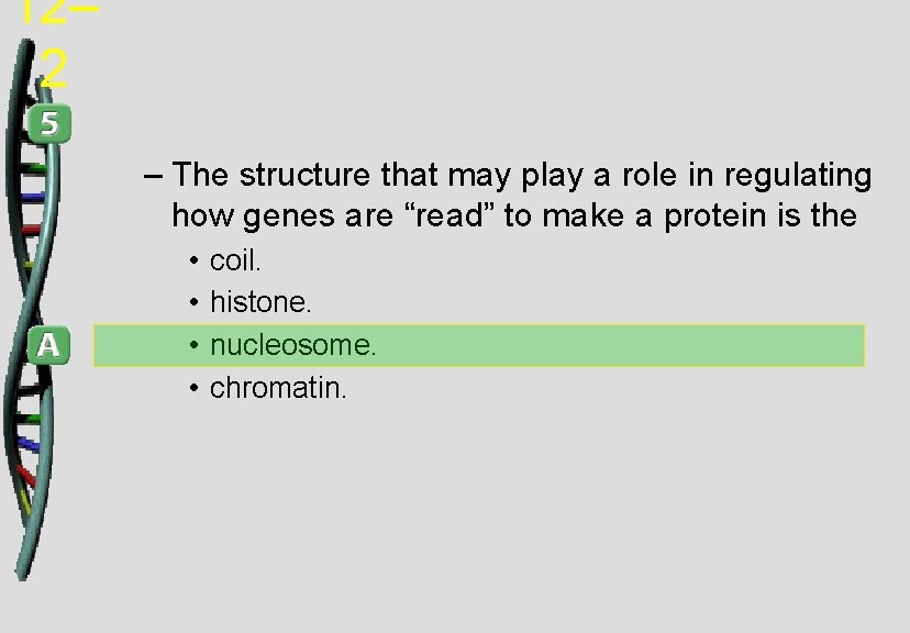 12– 2 – The structure that may play a role in regulating how genes