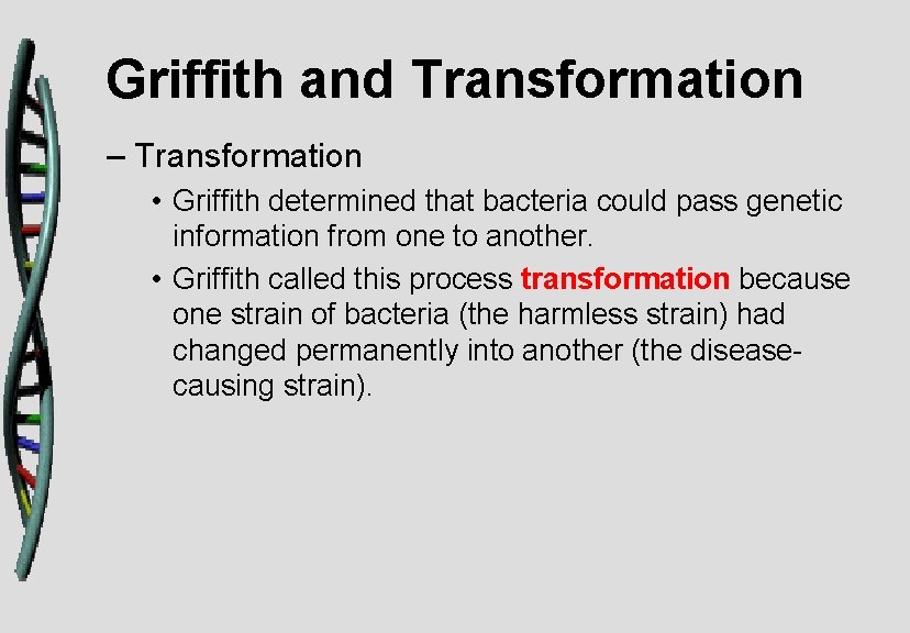 Griffith and Transformation – Transformation • Griffith determined that bacteria could pass genetic information