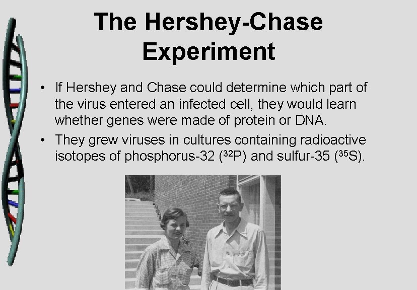 The Hershey-Chase Experiment • If Hershey and Chase could determine which part of the