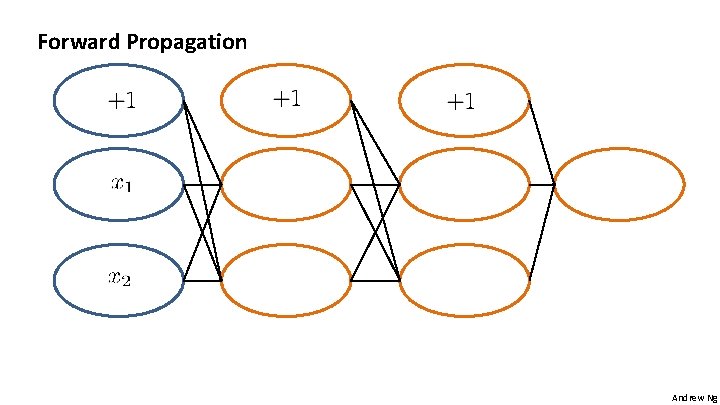 Forward Propagation Andrew Ng 