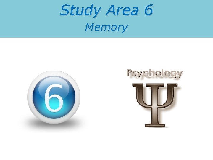 Study Area 6 Memory 