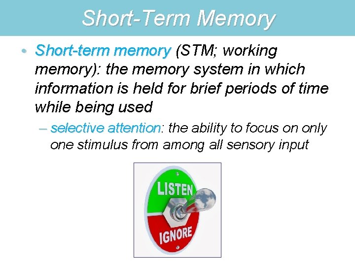 Short-Term Memory • Short-term memory (STM; working Short-term memory): the memory system in which