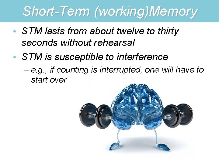 Short-Term (working)Memory • STM lasts from about twelve to thirty seconds without rehearsal •