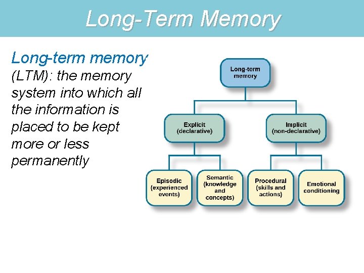 Long-Term Memory Long-term memory (LTM): the memory system into which all the information is