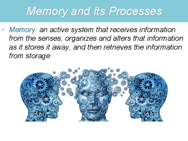 Memory and Its Processes • Memory: an active system that receives information from the