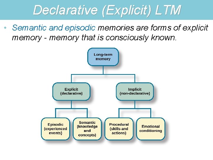 Declarative (Explicit) LTM • Semantic and episodic memories are forms of explicit memory -