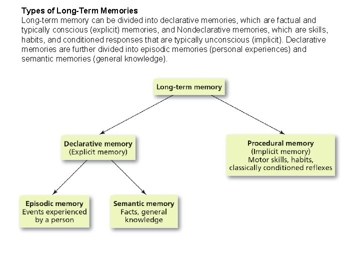 Types of Long-Term Memories Long-term memory can be divided into declarative memories, which are