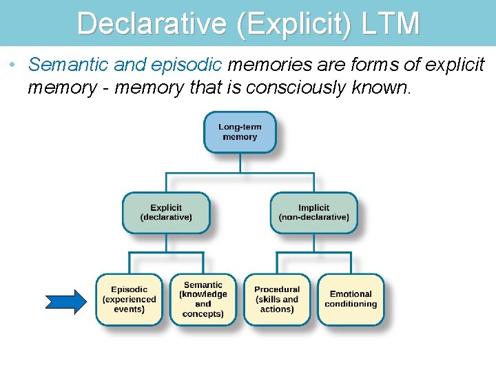 Declarative (Explicit) LTM • Semantic and episodic memories are forms of explicit memory -