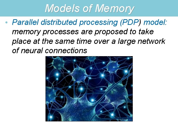 Models of Memory • Parallel distributed processing (PDP) model: memory processes are proposed to
