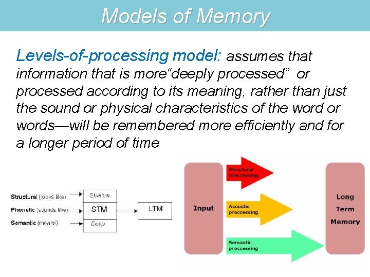 Models of Memory Levels-of-processing model: assumes that information that is more“deeply processed” or processed