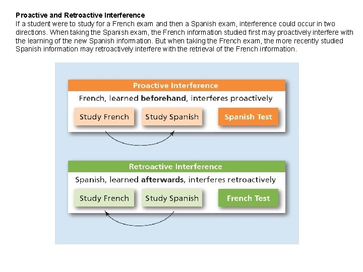 Proactive and Retroactive Interference If a student were to study for a French exam