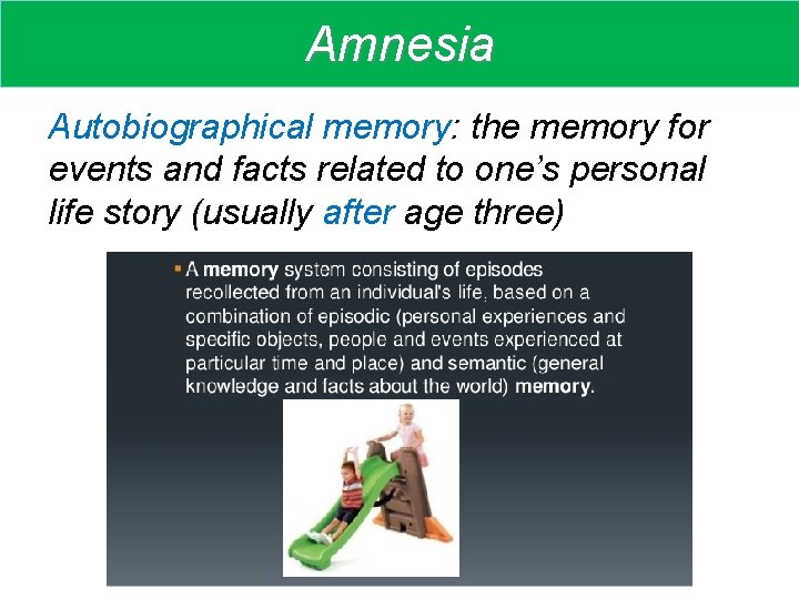 Amnesia Autobiographical memory: the memory for events and facts related to one’s personal life