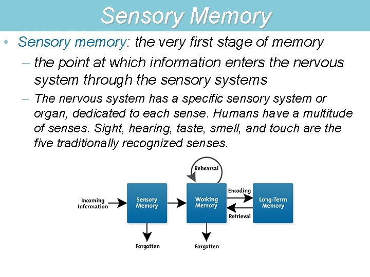 Sensory Memory • Sensory memory: the very first stage of memory – the point