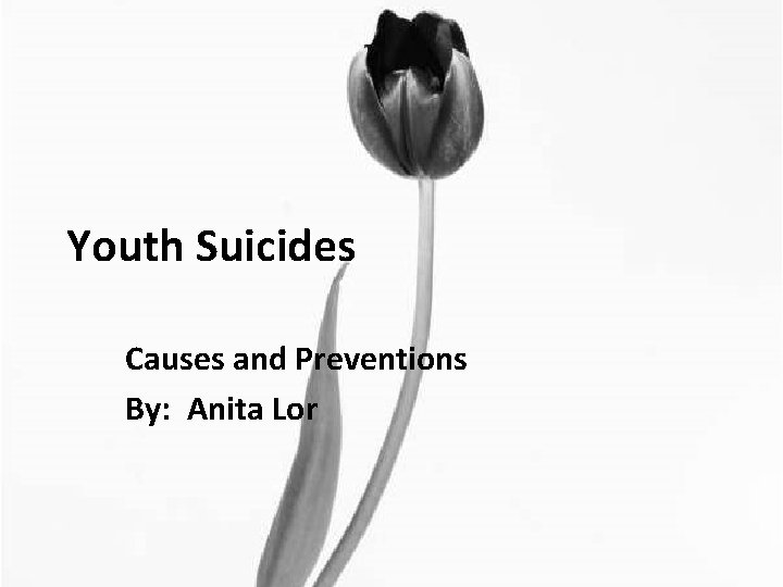 Youth Suicides Causes and Preventions By: Anita Lor 