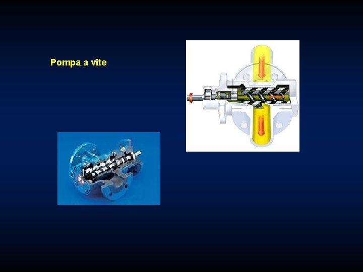 Pompa a vite 