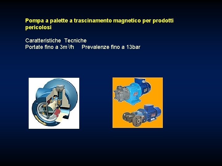 Pompa a palette a trascinamento magnetico per prodotti pericolosi Caratteristiche Tecniche Portate fino a